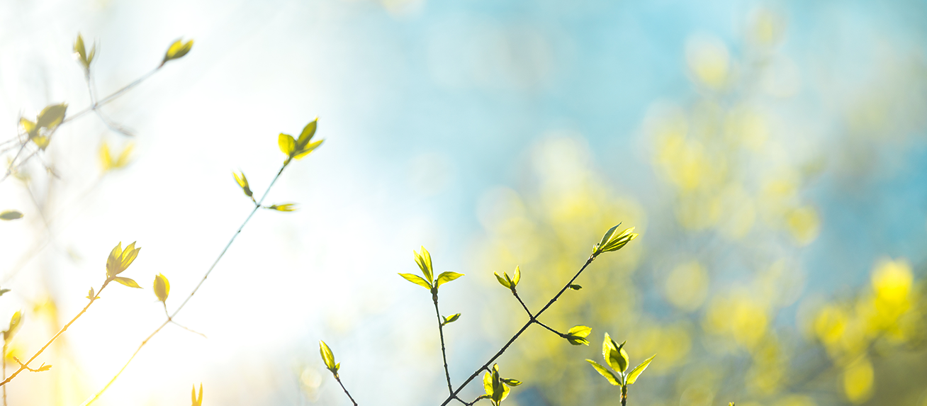 Wellness tip: Spring Renewal